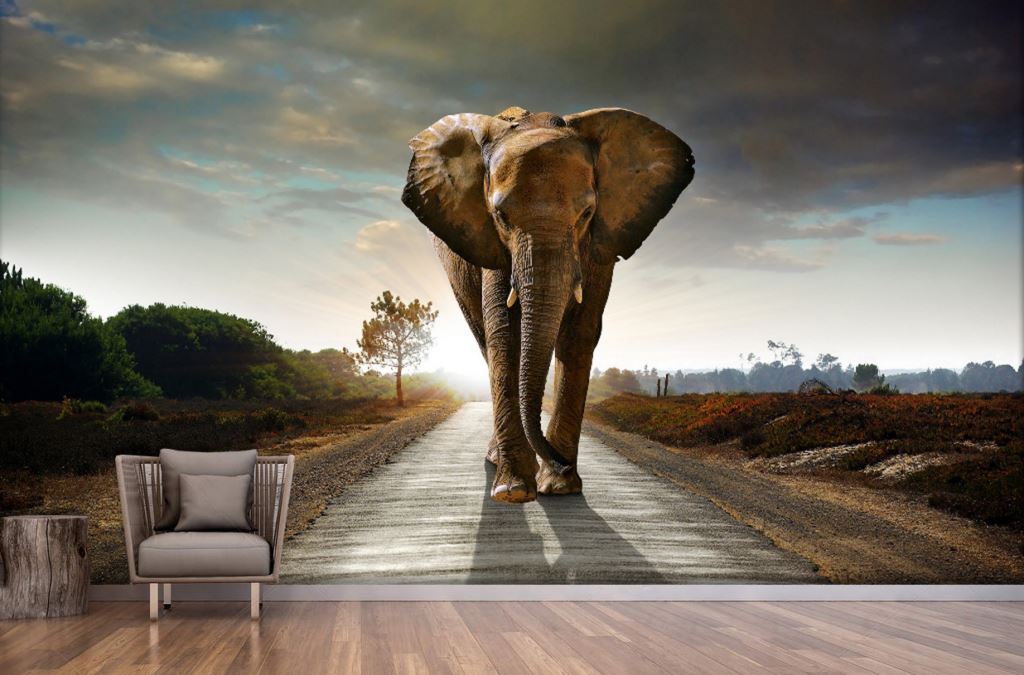 Gratex Best Quality Designer Wallpaper Digital Wall Picture